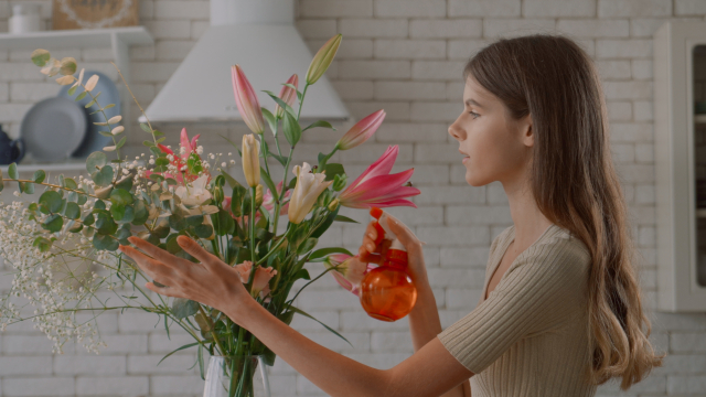 格安の花の定期便を選ぶポイントは？配送回数から花の品質まで比較しよう