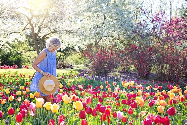 花の定期便を1年を通して使うメリット