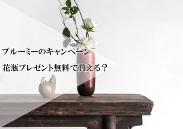 ブルーミーの花瓶プレゼント初回キャンペーンとは⁉無料でもらえる？どんなサイズ？