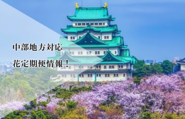 新潟・富山・静岡・愛知・名古屋など中部地方対応の花定期便の注意点は？中部地方の花定期便情報！