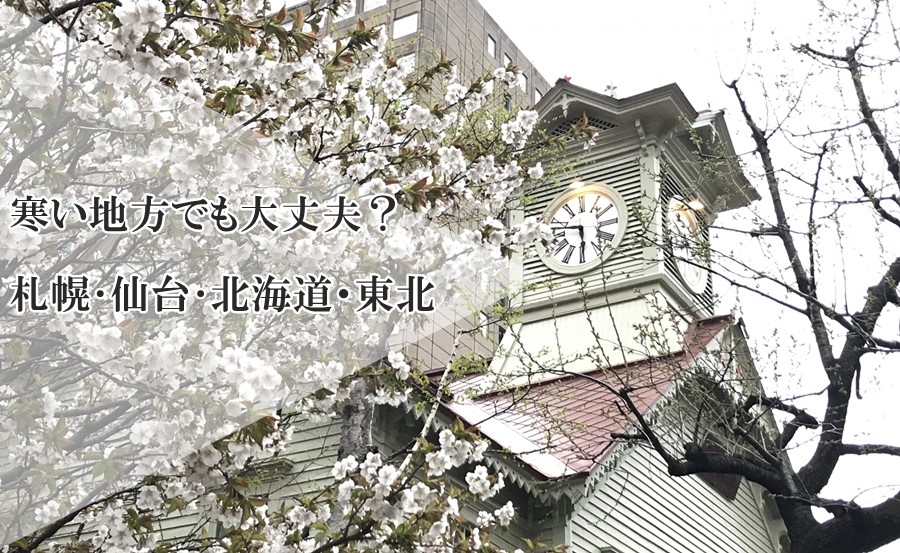 花の定期便は寒い地方でも大丈夫？札幌や仙台など北海道・東北で利用できるサービスをご紹介！