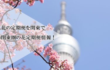 花の定期便を関東で選ぶならどこがいい？関東圏（栃木県・群馬県・埼玉県・千葉県・茨城県・神奈川県・東京都）の花定期便情報！