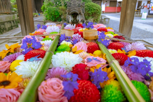 関西地方（滋賀・京都・大阪・神戸・奈良・和歌山）の花定期便は選ぶのが難しい