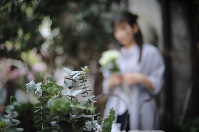 ウィークリーフラワーはどんな花定期便？口コミ情報が知りたい