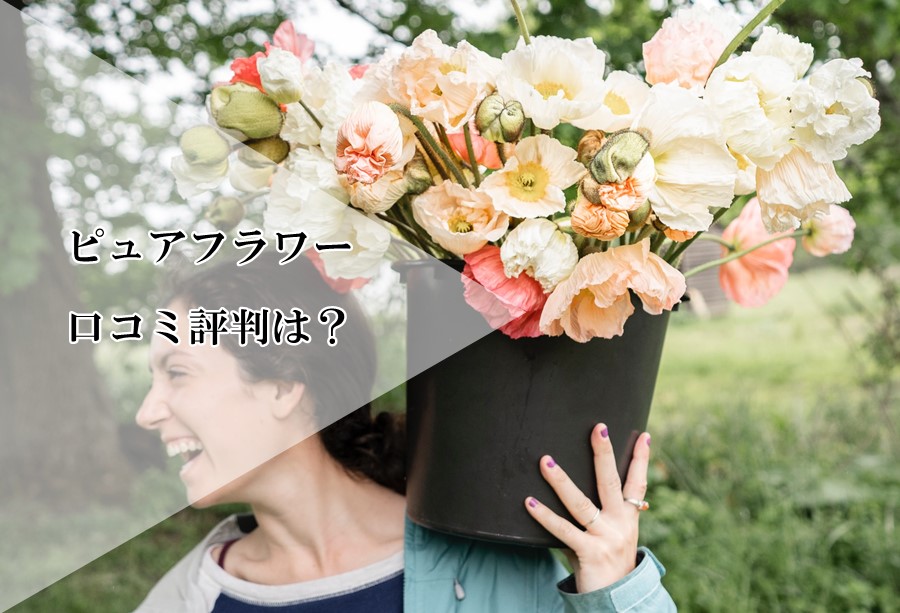 ピュアフラワーのサブスクの口コミ評判は？花屋から直接届く花定期便のリアルなメリットデメリットとは⁉