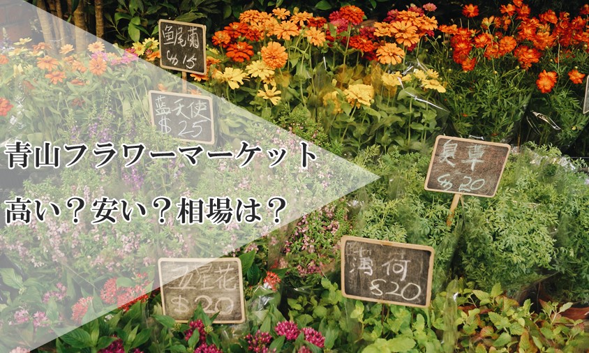 青山フラワーマーケット花定期便は高い？安い？月額の相場比較から送料まで解説！